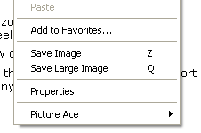 Picture Ace IE context menu items