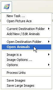 Open Current Destination Folder